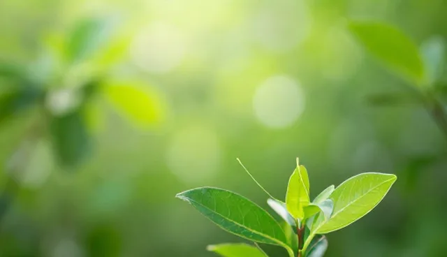 数据准确性如何影响供求信息发布效果
